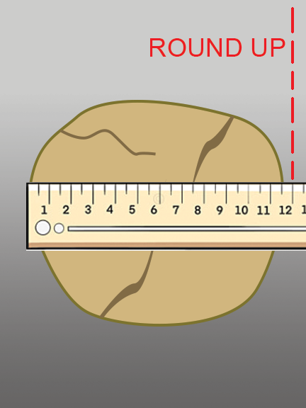 piling measurement